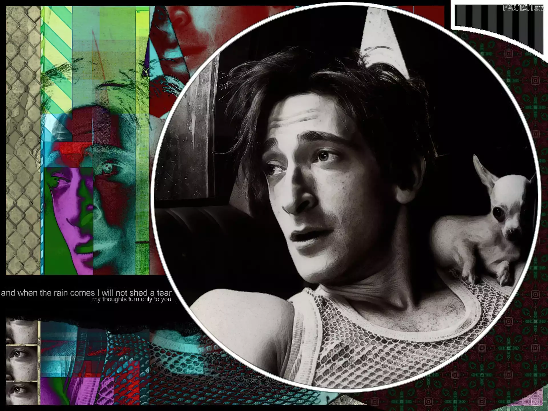 piesek, Adrien Brody, głowa