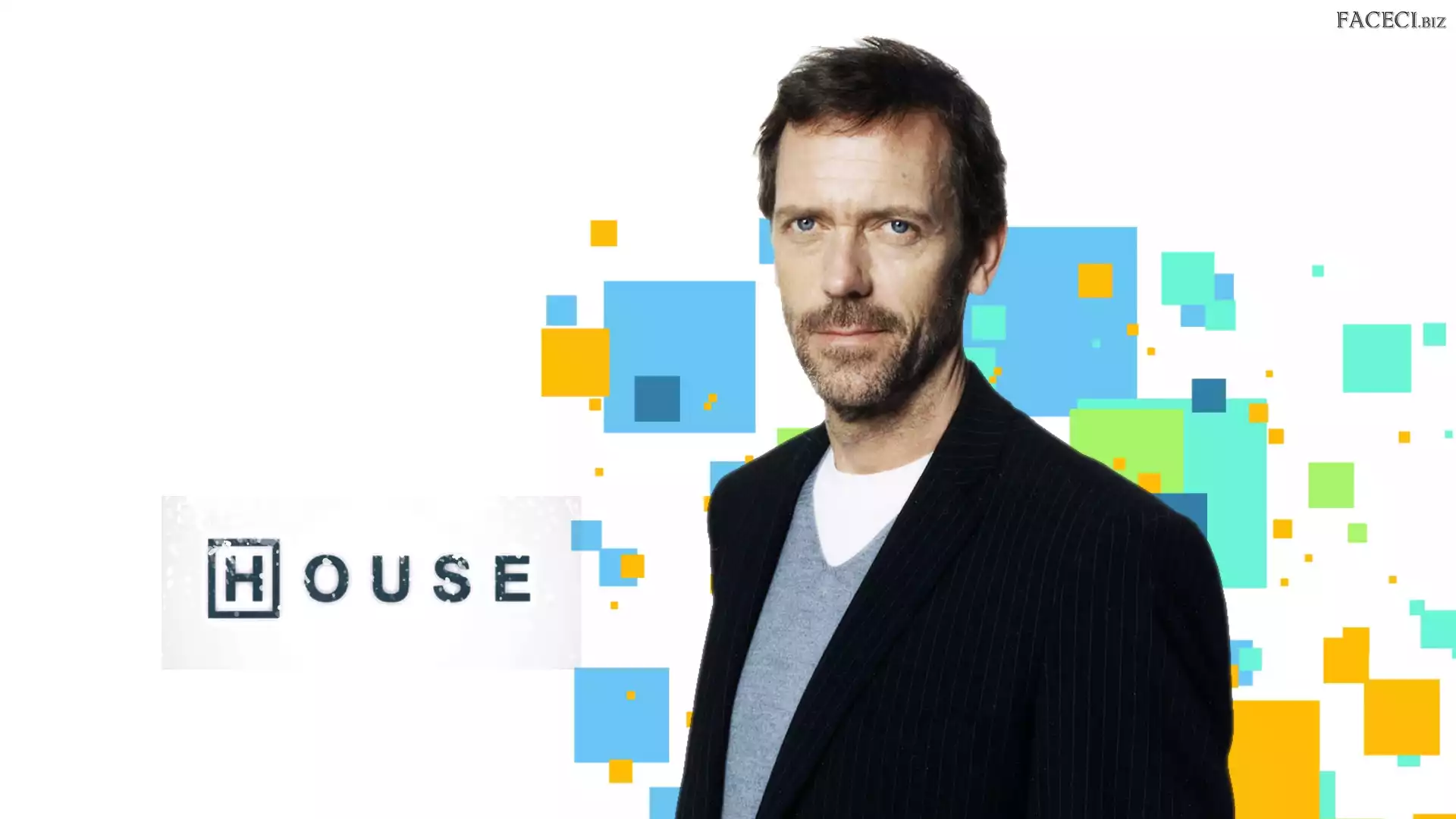 Hugh Laurie, Dr House, Serial