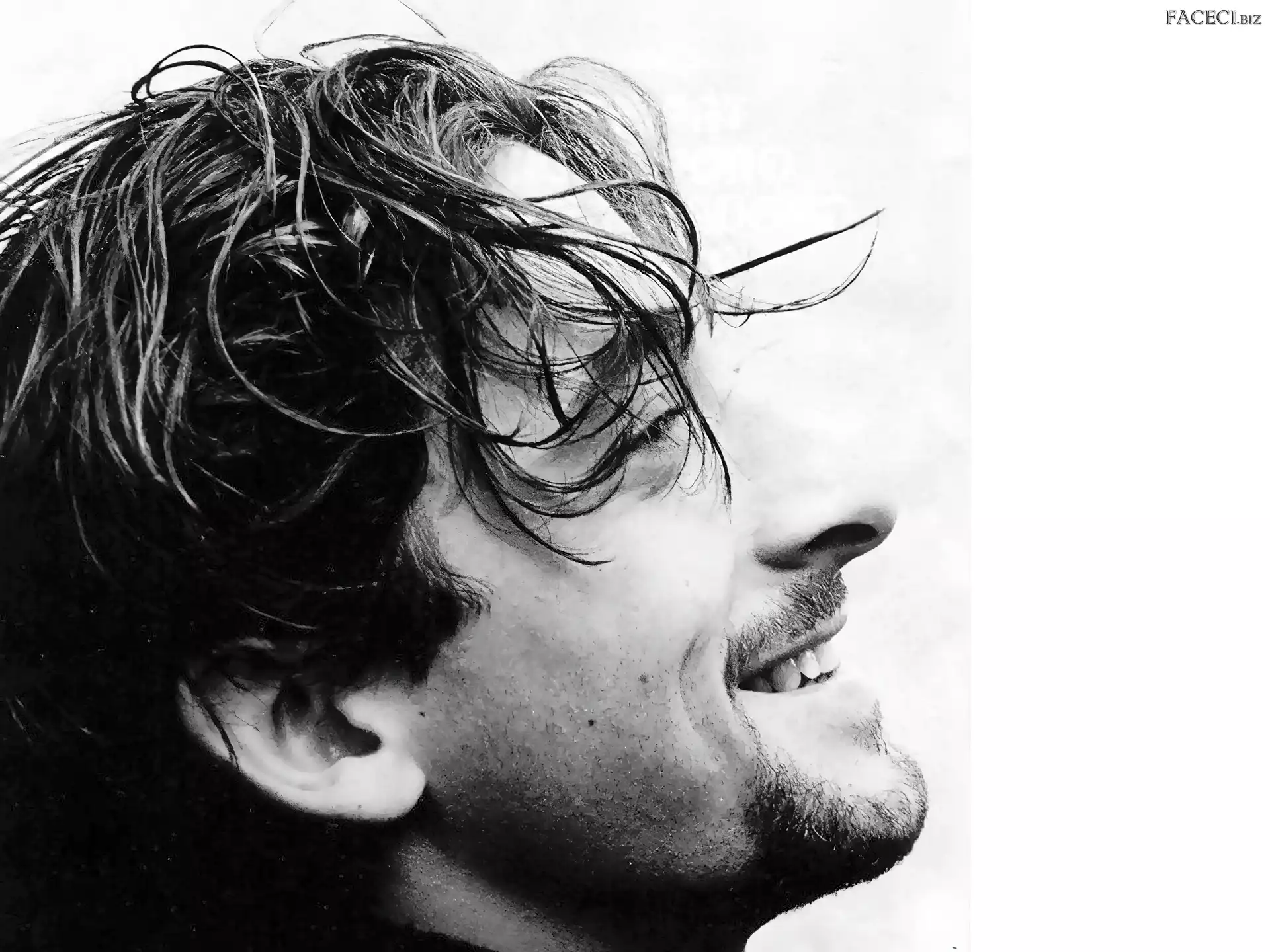 twarzy, Adrien Brody, profil